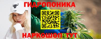 кокс Краснодар